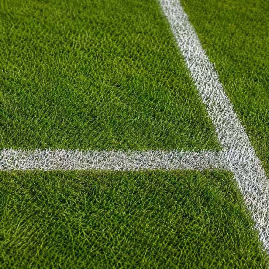 Grass court texture